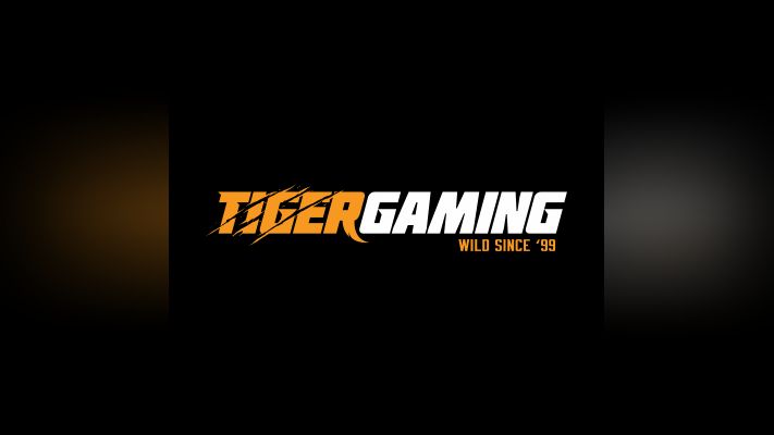 Free Vector | Red tiger logo esport team design gaming mascot